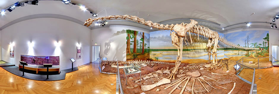Dino Ausstellung Braunschweig
